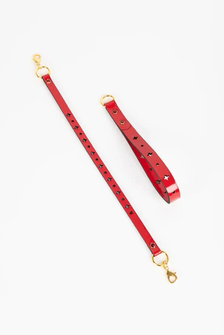 Fraulein Kink Rosse T-Strap Lead